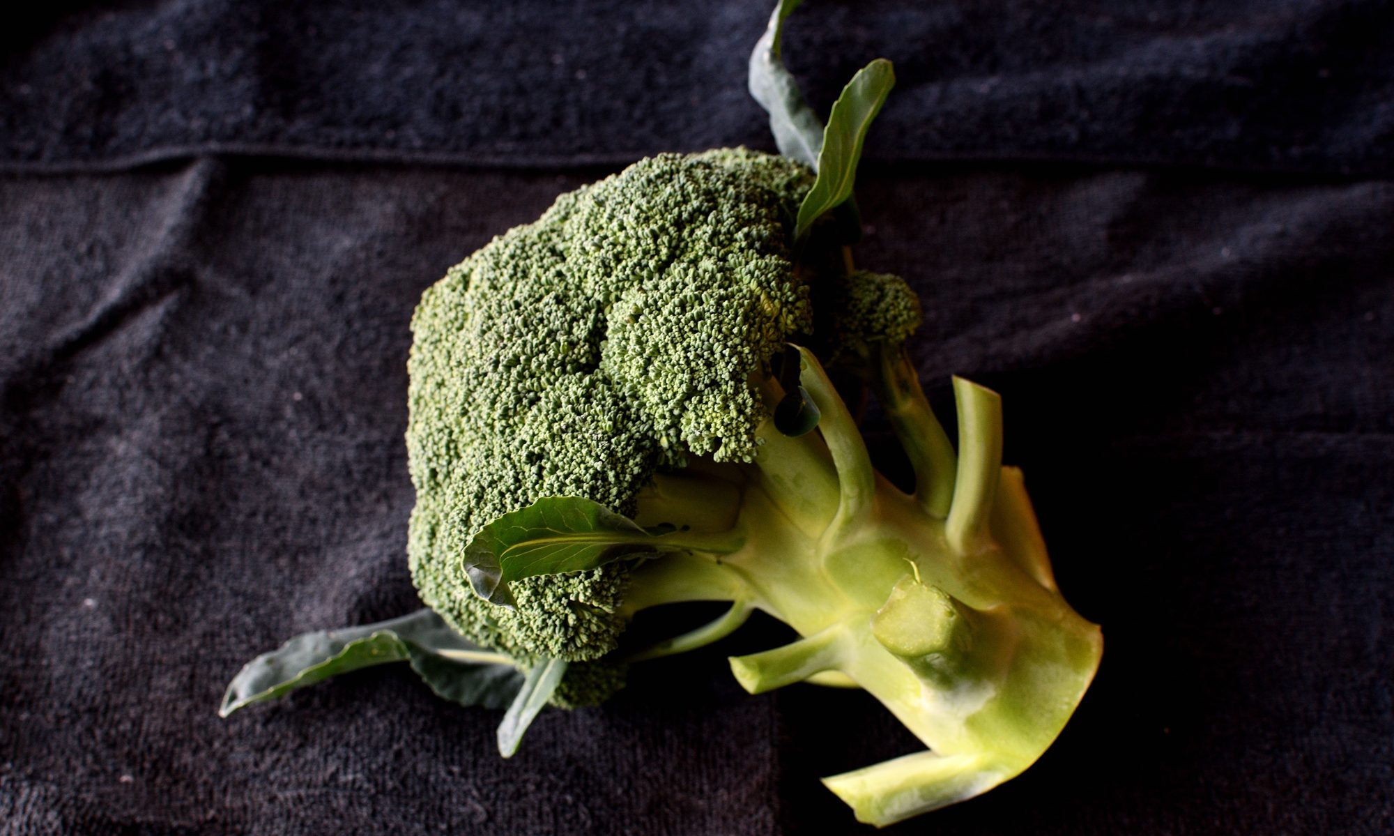 ブロッコリー